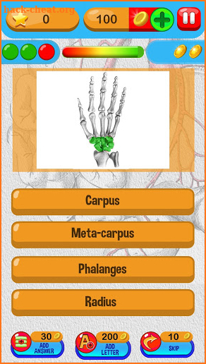 Anatomy Quiz Free Science Game screenshot
