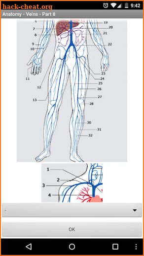 Anatomy - Veins screenshot