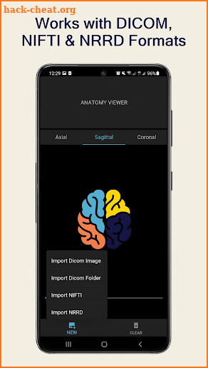 Anatomy Viewer: CT/MRI Images screenshot