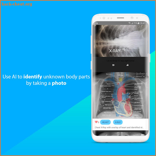 Anatomy: Whats Inside? screenshot