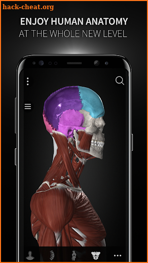 Anatomyka - 3D human anatomy screenshot