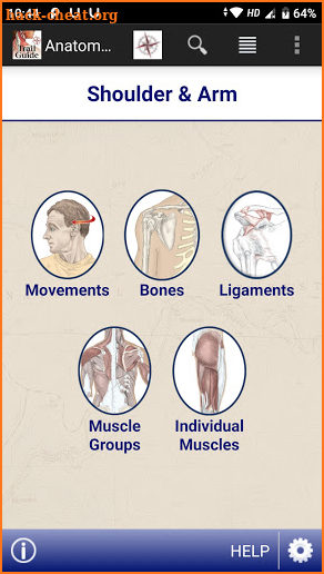 AnatomyMapp screenshot