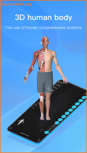 Anatomymaster screenshot
