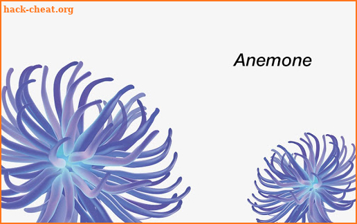 Anemone Reality screenshot