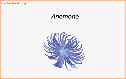 Anemone Reality screenshot