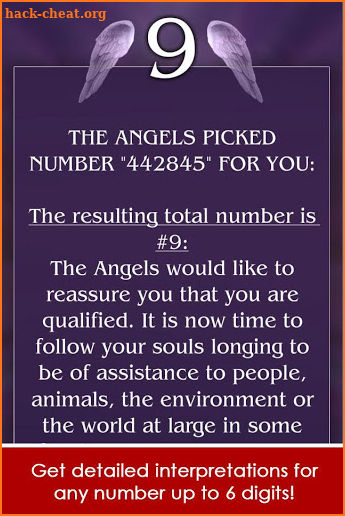 Angel Number Signs screenshot