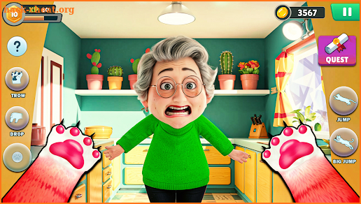 Angry Gran VS Naughty Cat Sim screenshot