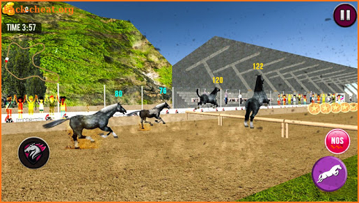 Angry Horse Racing 3D Simulator screenshot