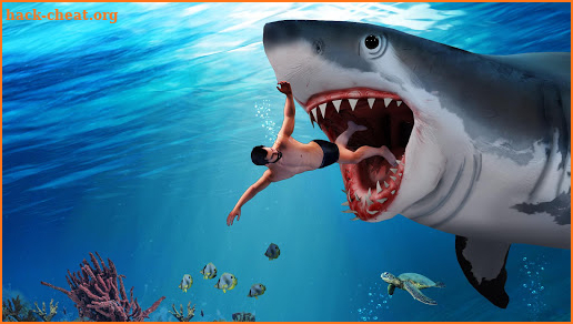 Angry Shark Attack Games screenshot