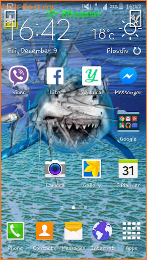 Angry Shark Pet Cracks Screen screenshot