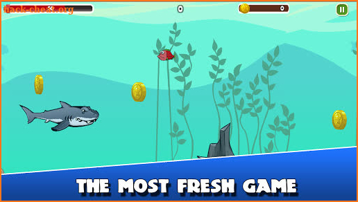 Angry Shark Summer Adventure screenshot