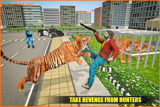 Angry Tiger City Attack: Wild Animal Fighting Game screenshot