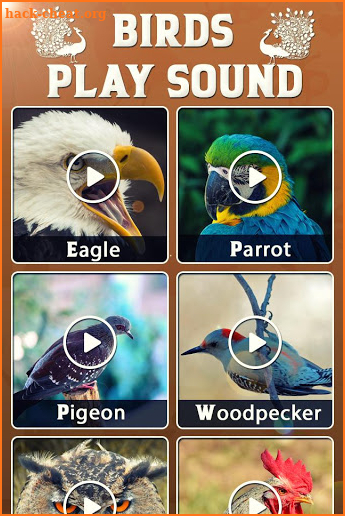 Animal & Bird Real Sounds screenshot