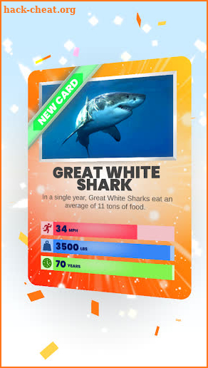 Animal Cards screenshot