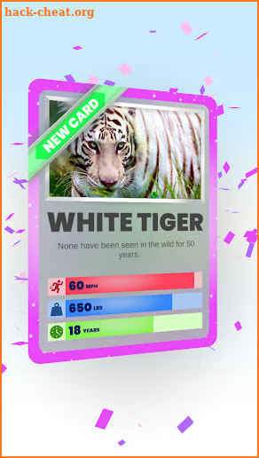 Animal Cards screenshot