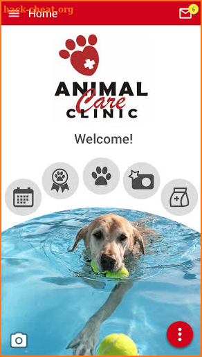 Animal Care Clinic Oregon screenshot