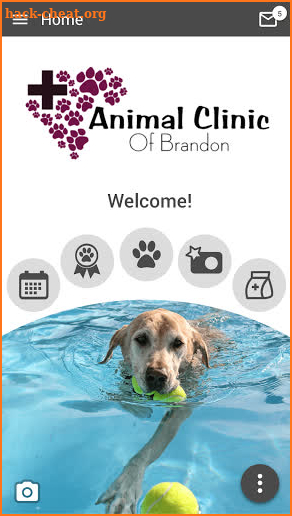 Animal Clinic of Brandon screenshot
