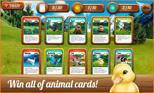 Animal Club: Play to save the Polar Bear screenshot