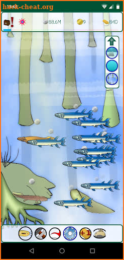 Animal Evolution screenshot