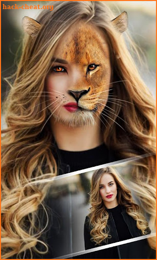 Animal Face Morphing Photo Editor screenshot