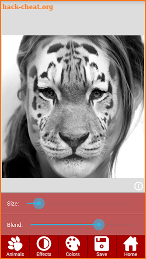 Animal Faces - Face Morphing screenshot