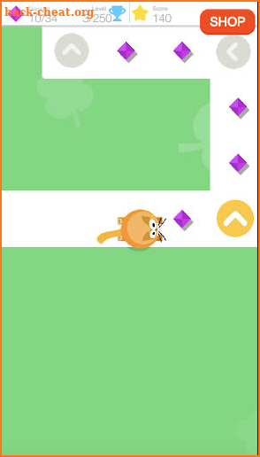 Animal Fun Run screenshot