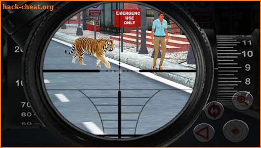 Animal Hunting Games :Safari Hunting Shooting Game screenshot