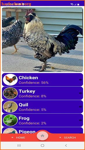 Animal Identifier screenshot