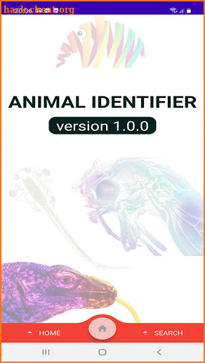 Animal Identifier screenshot
