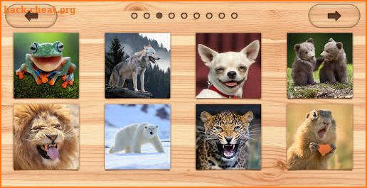 Animal Jigsaw Puzzle Game: offline puzzles adults screenshot
