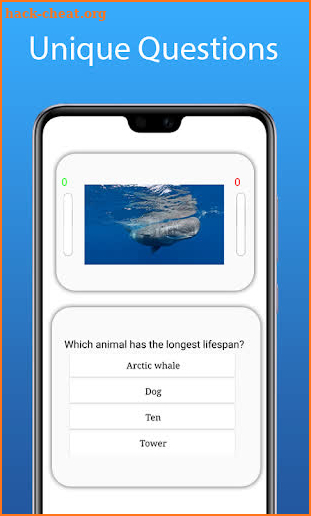 Animal Quiz screenshot