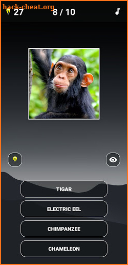 Animal Quiz: Guess the Animal screenshot