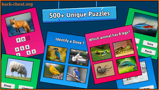 Animal Quiz Guess their Answer screenshot