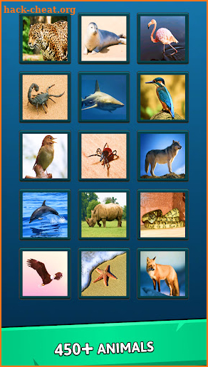 Animal Quiz Guess their Answer screenshot