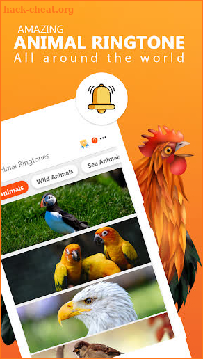 Animal Ringtones - Animal Wallpaper Bird Ringtones screenshot