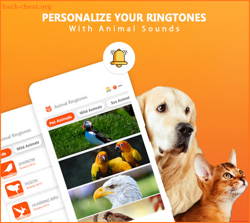 Animal Ringtones - Animal Wallpaper Bird Ringtones screenshot