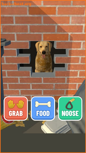 Animal Shelter 3D screenshot