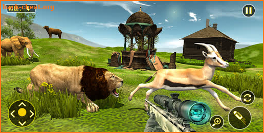 Animal Sniper Shooter - The Jungle Hunting screenshot
