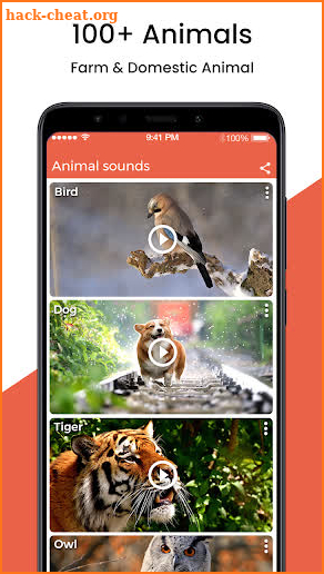 Animal Sound Ringtone screenshot