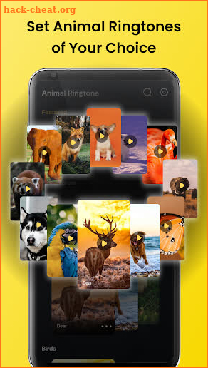 Animal Sounds - Bird Ringtones screenshot