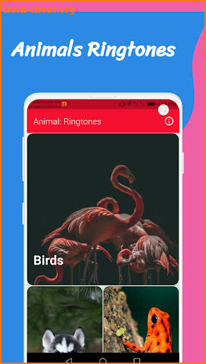 Animal Sounds: Free Ringtones & Animal Noises App. screenshot