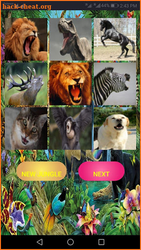 Animal Sounds - wild animal sounds screenshot