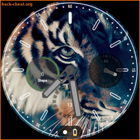 Animal Tiger WatchFace screenshot