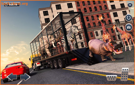 Animal Transporter Offroad Drive screenshot