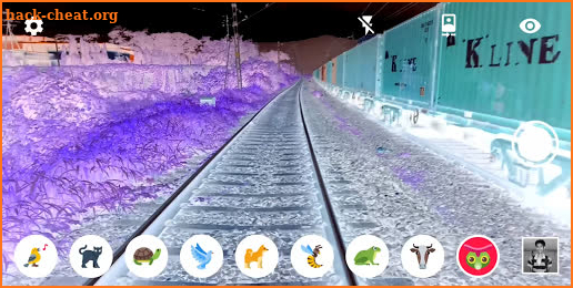 Animal Vision Simulator 🦄 screenshot