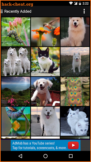 Animal Wallpapers screenshot