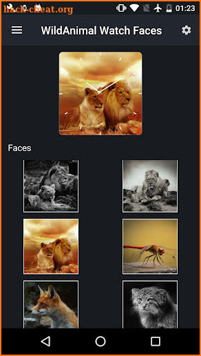Animal Watch Faces screenshot