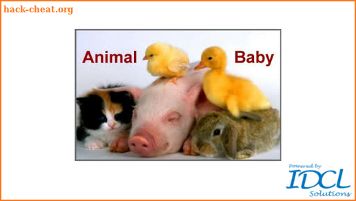 AnimalBaby:Learn baby name PRO screenshot
