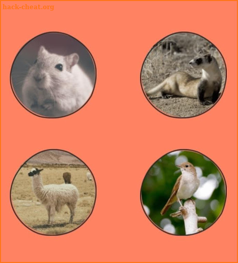 AnimalGo screenshot