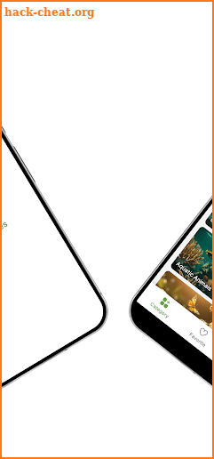 AnimalMelodies: Best-Tunes screenshot